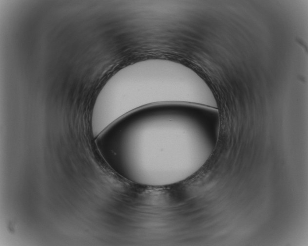 X0000091640280200708230955