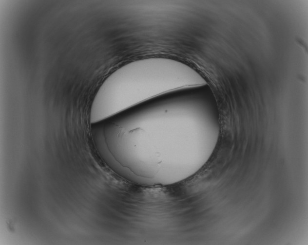 X0000091640281200708230955