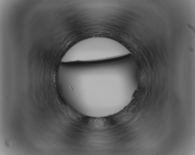 X0000091640282200708230955