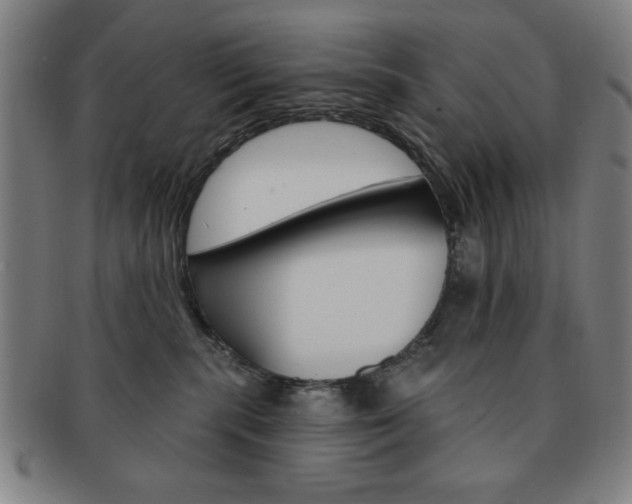 X0000091640283200708230955
