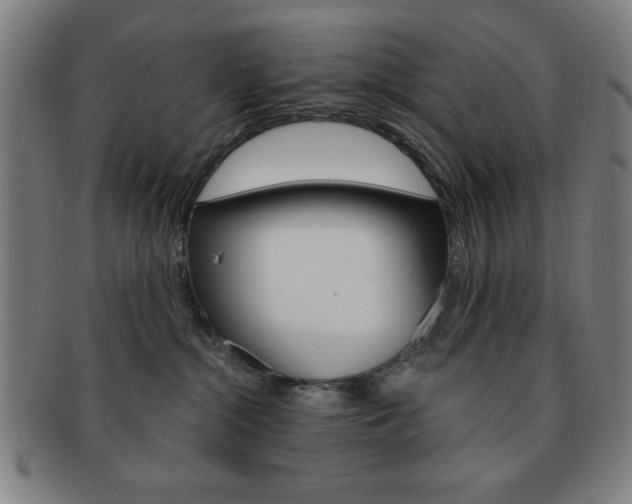 X0000091640284200708230955