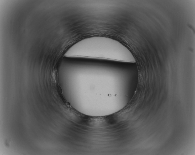 X0000091640286200708230955