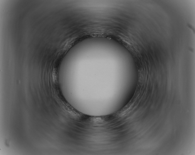 X0000091640287200708230955