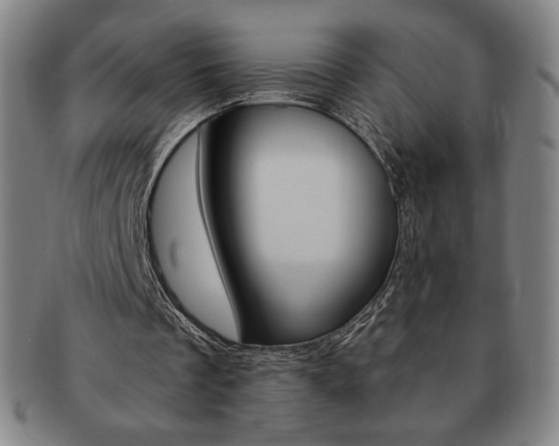 X0000091640289200708230954