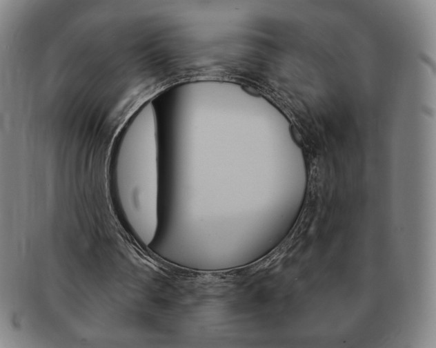 X0000091640290200708230954