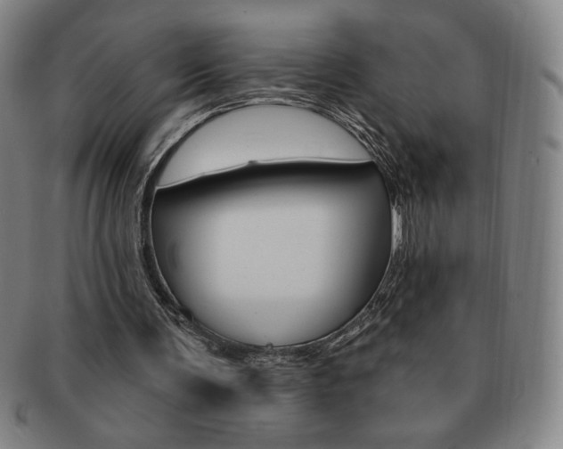 X0000091640291200708230954