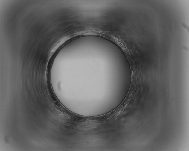 X0000091640292200708230954