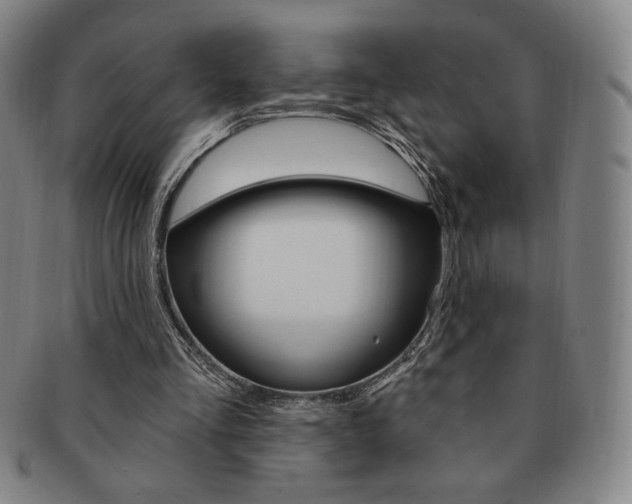 X0000091640293200708230954
