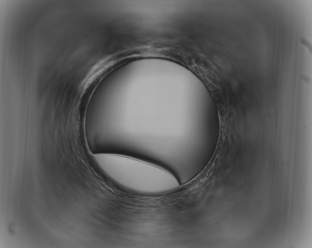 X0000091640295200708230954