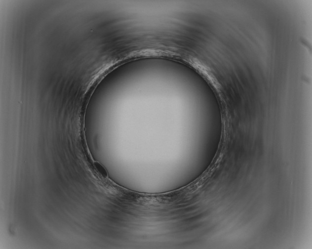 X0000091640297200708230954