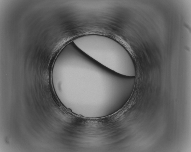 X0000091640298200708230954