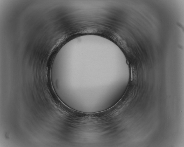 X0000091640300200708230954