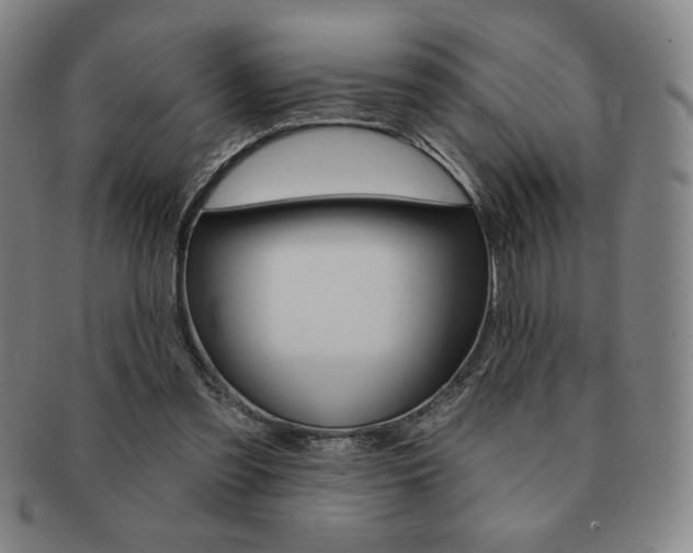 X0000091640301200708230954