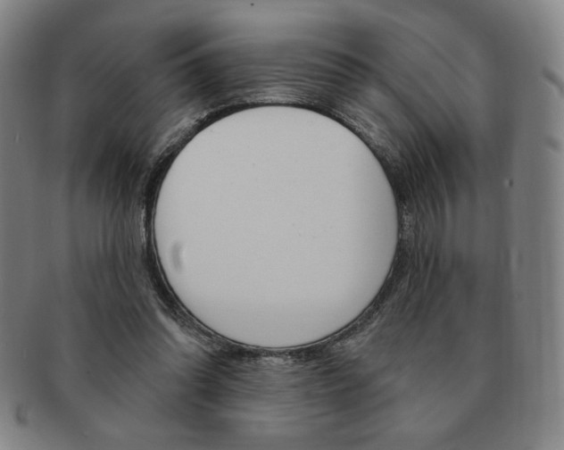 X0000091640302200708230954