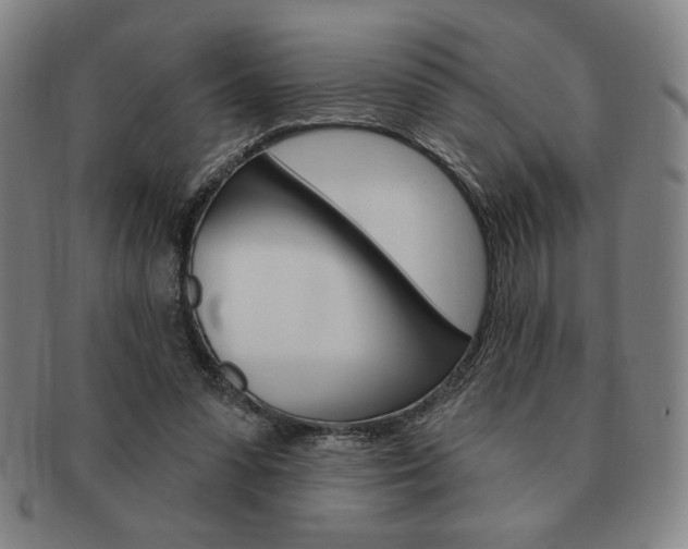 X0000091640303200708230954