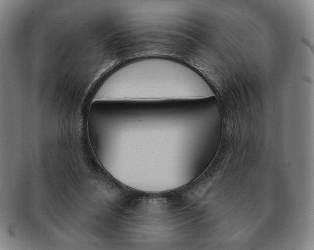 X0000091640304200708230954