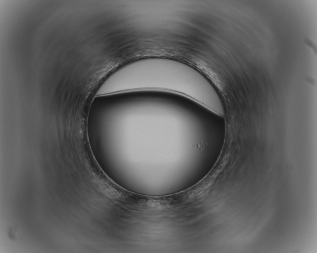 X0000091640305200708230954