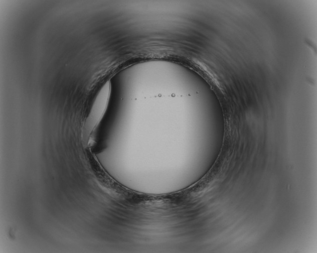 X0000091640307200708230954