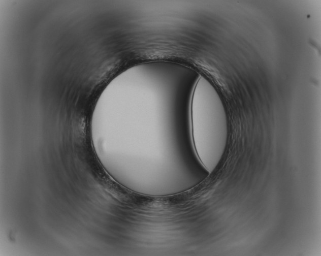 X0000091640308200708230954