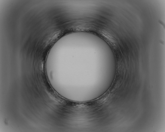 X0000091640310200708230954