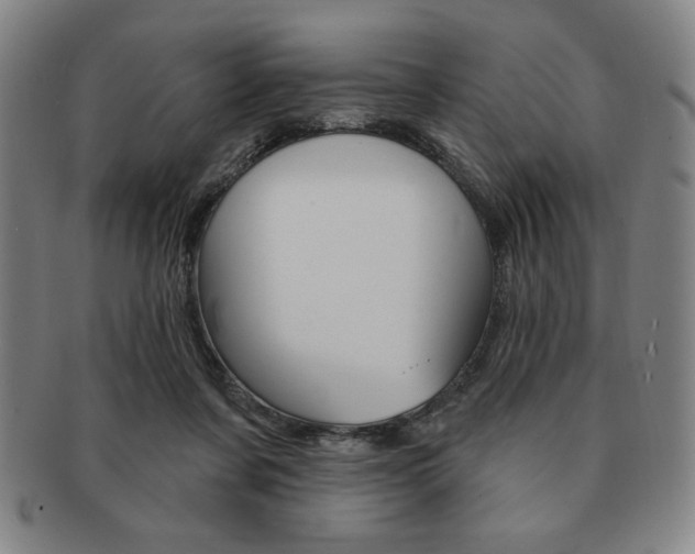X0000091640311200708230954