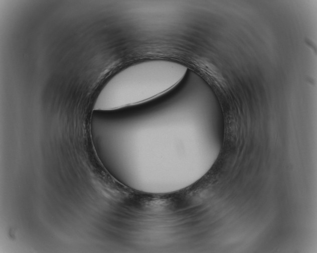 X0000091640312200708230954