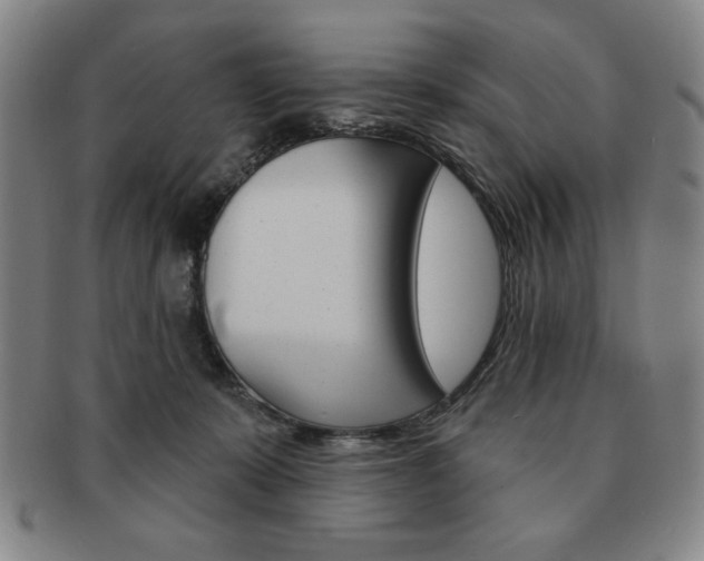 X0000091640319200708230954