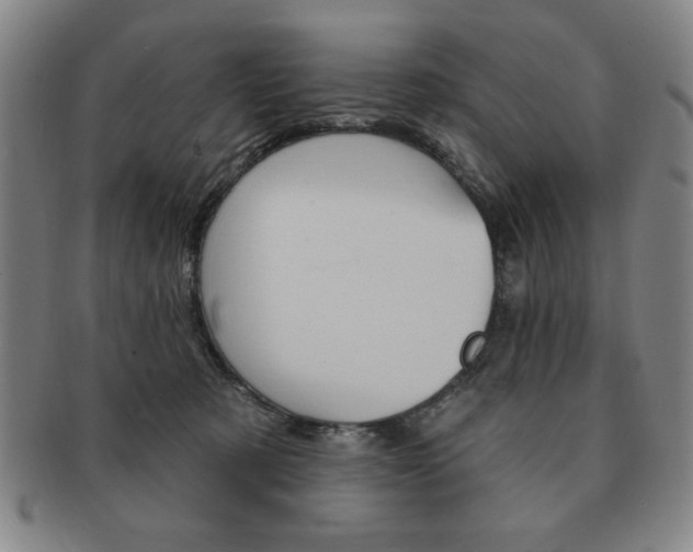 X0000091640321200708230954
