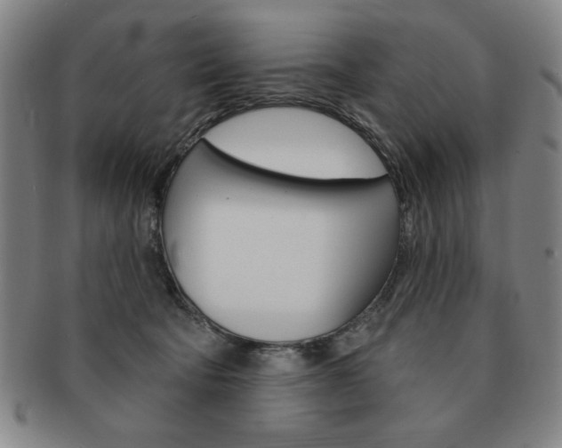 X0000091640322200708230954