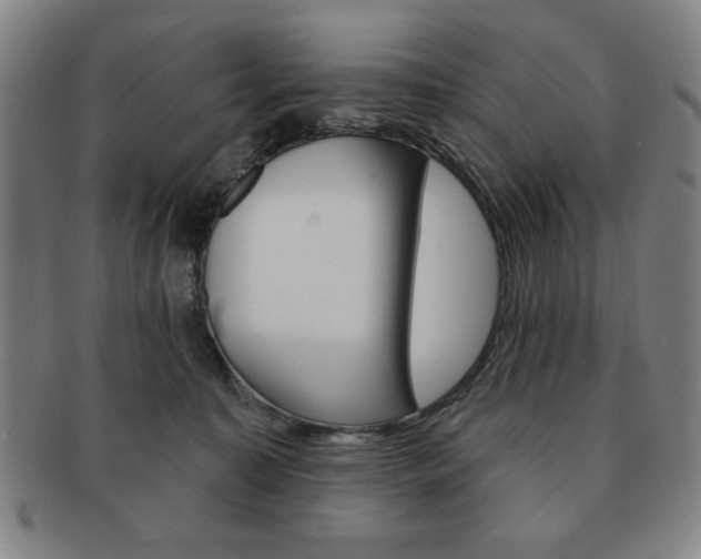 X0000091640323200708230954