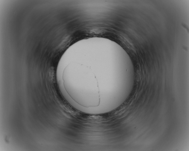 X0000091640328200708230954