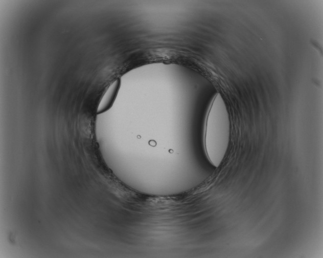 X0000091640331200708230954