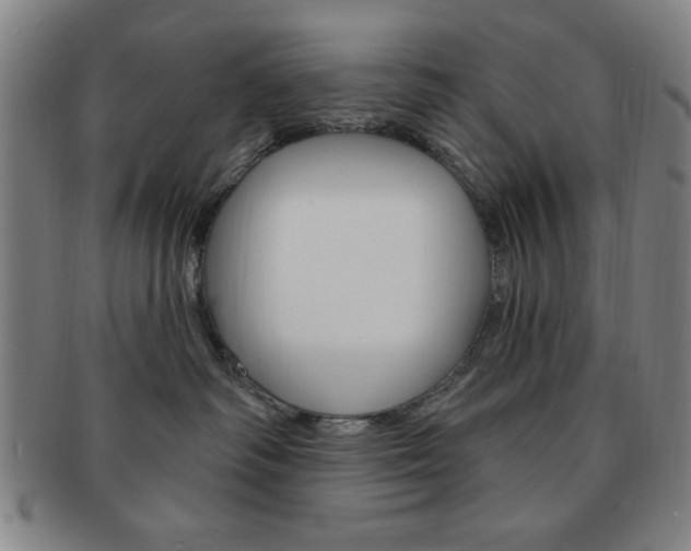 X0000091640334200708230954