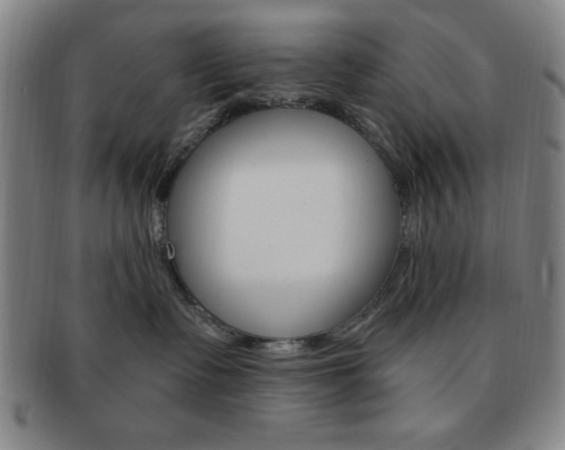 X0000091640335200708230954
