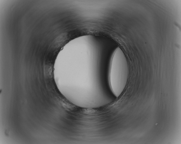 X0000091640336200708230954