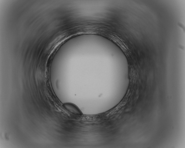 X0000091640338200708230953