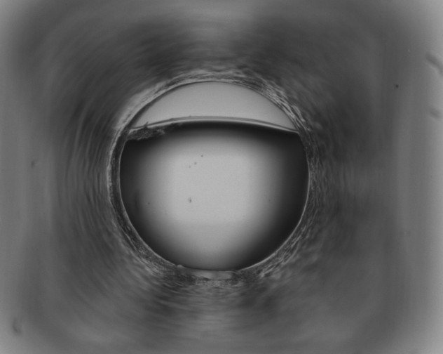X0000091640340200708230953