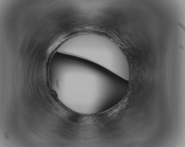 X0000091640341200708230953