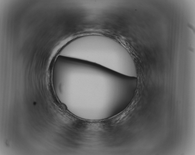 X0000091640342200708230953