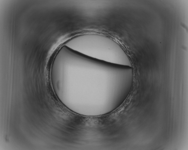 X0000091640343200708230953