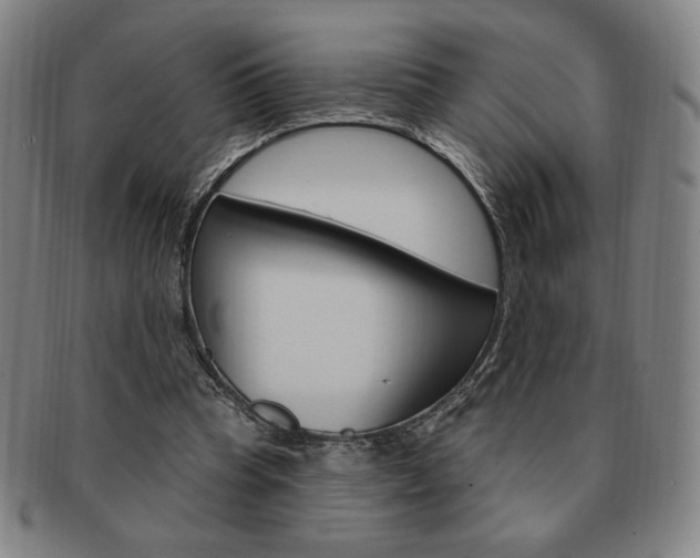 X0000091640345200708230953