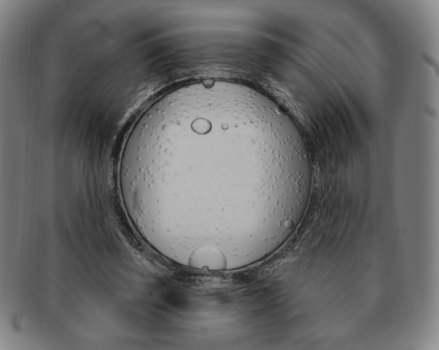 X0000091640347200708230953