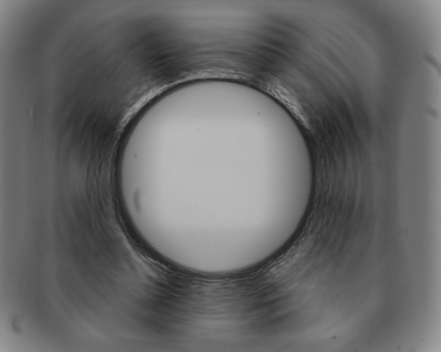 X0000091640348200708230953
