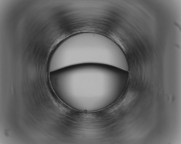 X0000091640349200708230953