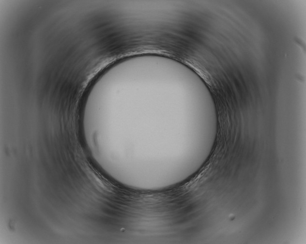 X0000091640350200708230953