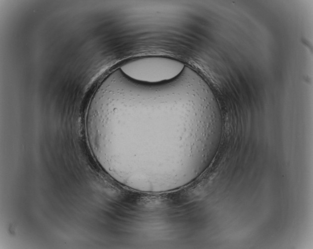 X0000091640351200708230953