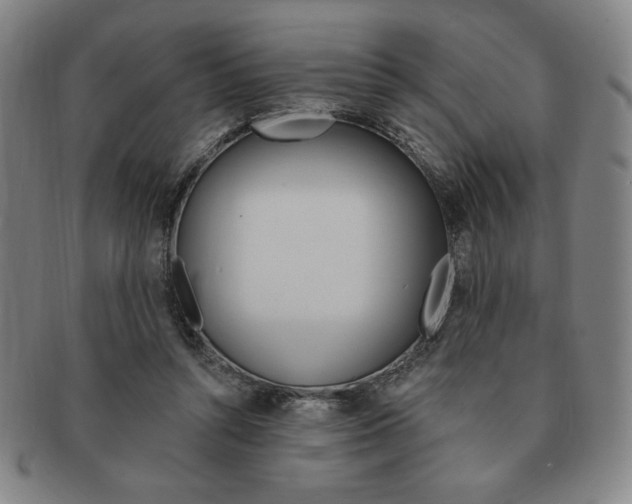 X0000091640352200708230953