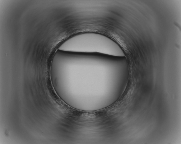 X0000091640354200708230953