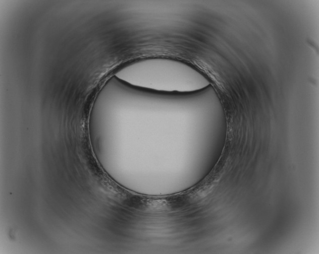 X0000091640355200708230953