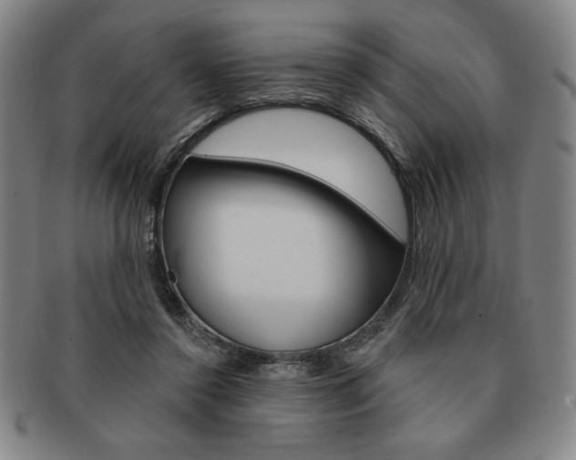 X0000091640356200708230953